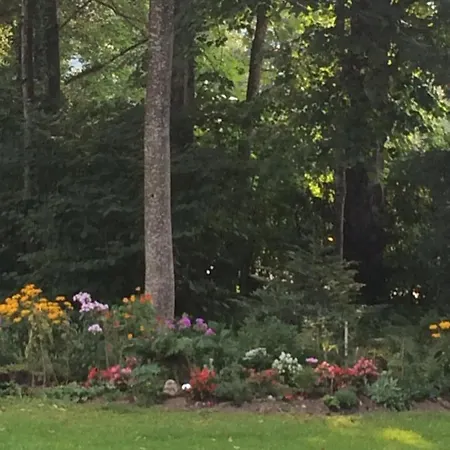Schlosspark Grubhof * Sankt Martin bei Lofer
