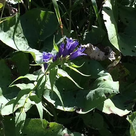 Appartement Schlosspark Grubhof *