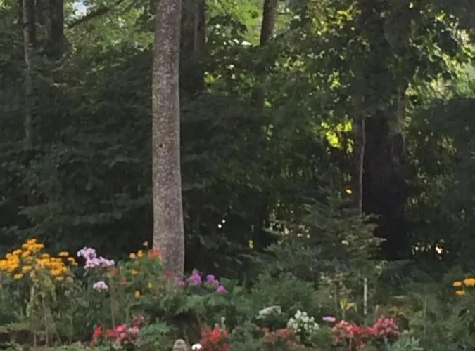 Fewo Schlosspark Grubhof * Sankt Martin bei Lofer