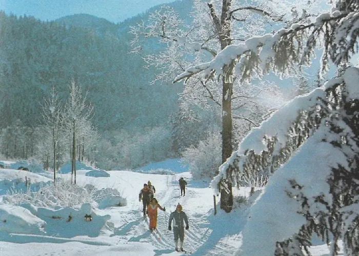 Lägenhet Fewo Schlosspark Grubhof *