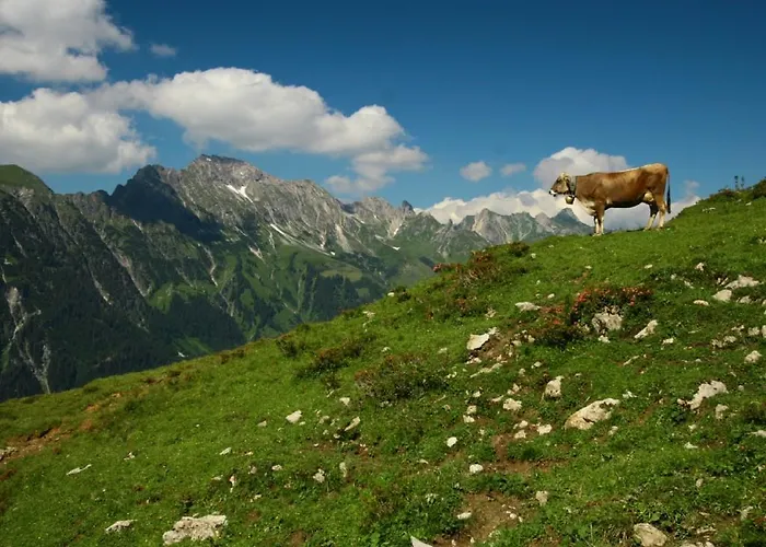 Lägenhet Fewo Schlosspark Grubhof Sankt Martin bei Lofer