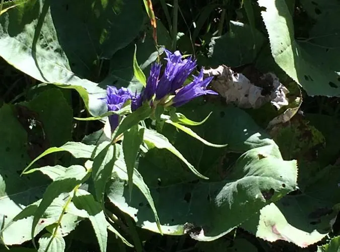 Lägenhet Fewo Schlosspark Grubhof *